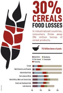 cereals_en