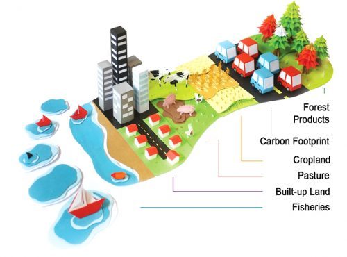 graphic of foot with breakdown of Ecological Footprint land types