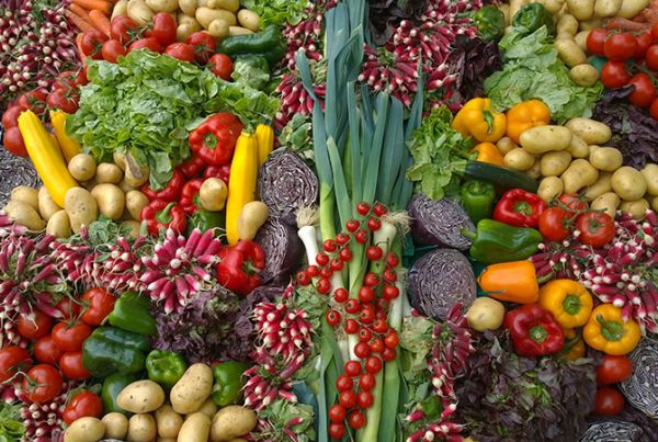 spread of colorful vegetables
