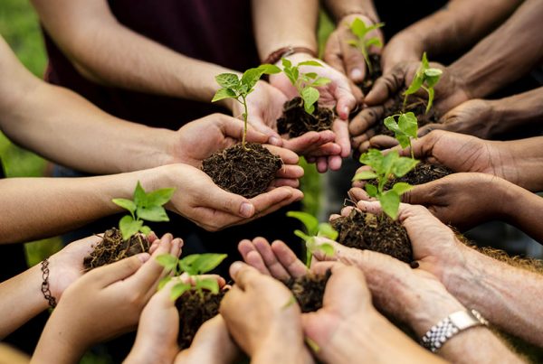 group of hands holding sprouts