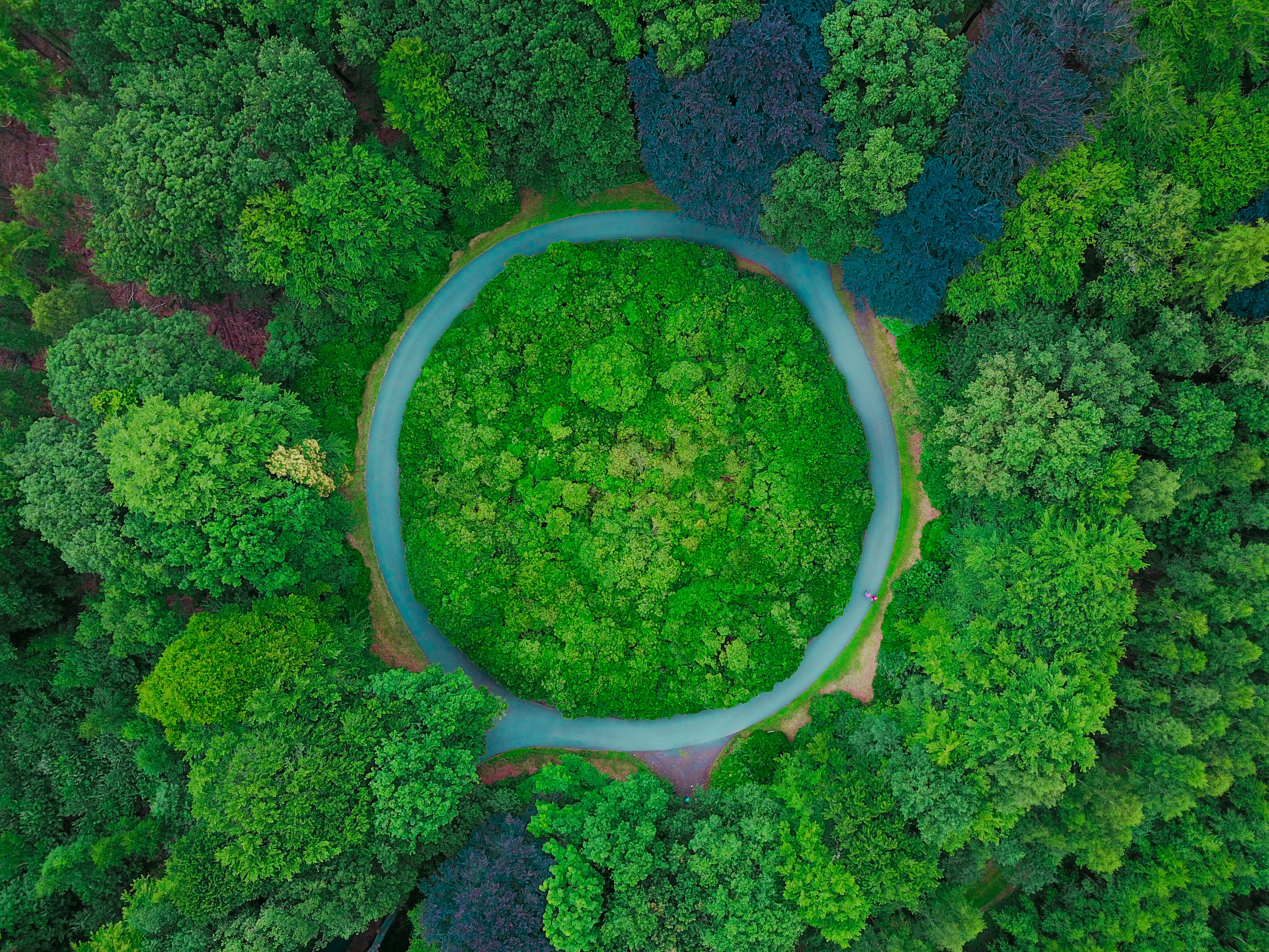 Earth Overshoot Day 2019 is July 29