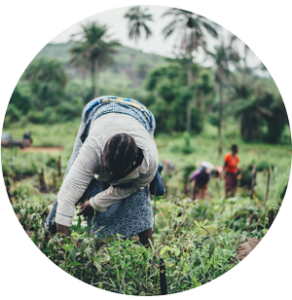 woman farming
