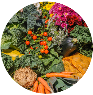 fresh produce