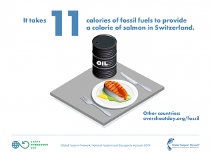 illustration of salmon and oil barrel on table