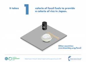 illustration of rice and oil barrel on table