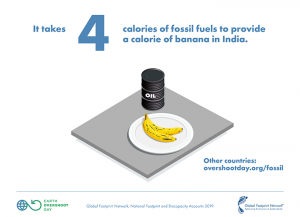 illustration of bananas and oil barrel on table