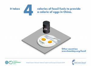 illustration of eggs and oil barrel on table