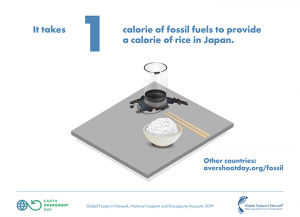 illustration of rice and glass of oil/petrol on table