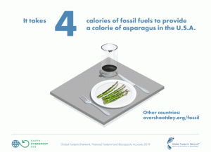 illustration of food items and glasses of oil/petrol on table