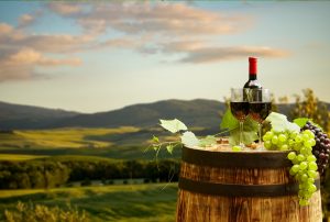 wine and grapes with valley in background
