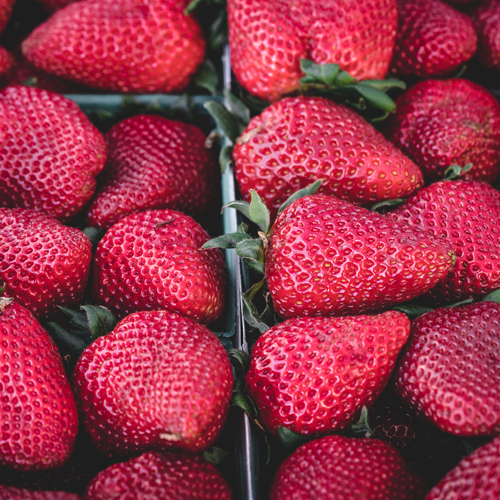 Action to cut food waste gains momentum across Europe/ THE GUARDIAN